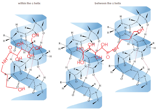 ファイバーハンス解説図。プレックス剤の髪小舞に使用