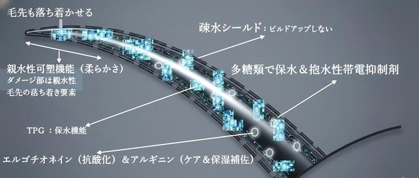 髪がまとまりやすくなるメカニズムを示した図