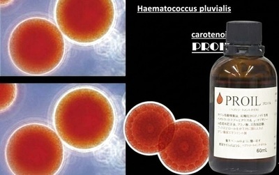 プロが推奨する高品質ボタニカルヘアオイル「PROIL」