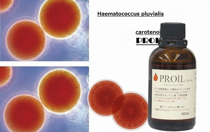 高品質ボタニカルヘアオイル。アスタキサンチンと吸着精製油で構成するプロイル