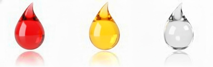 ボタニカルヘアオイルのPROILと可塑性ヘアオイルのＶＩＧＵＳＩオイルの比較