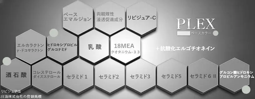 VIGUSIPLEXのハイダメージ専用の成分イメージ：浸透促進成分の働き
