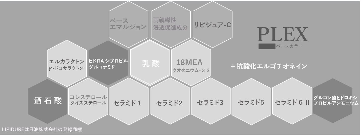 ハイダメージケア 洗い流さないトリートメントのVIGUSIPLEXの成分